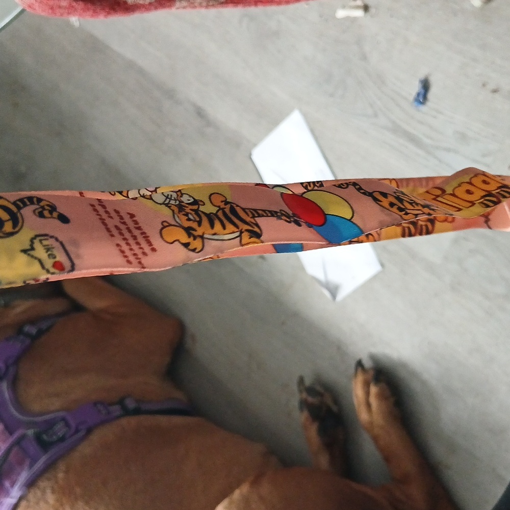 Lanyard